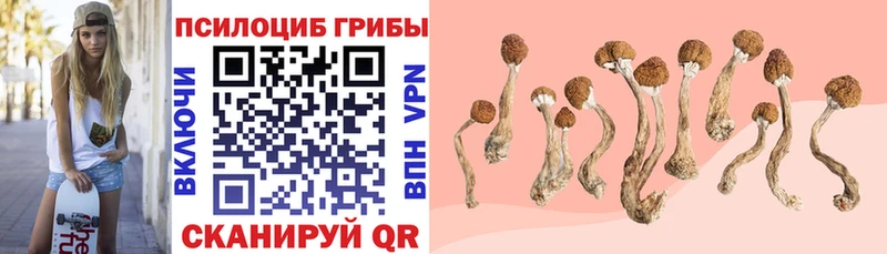 Галлюциногенные грибы мицелий  гидра ссылки  Дальнереченск 